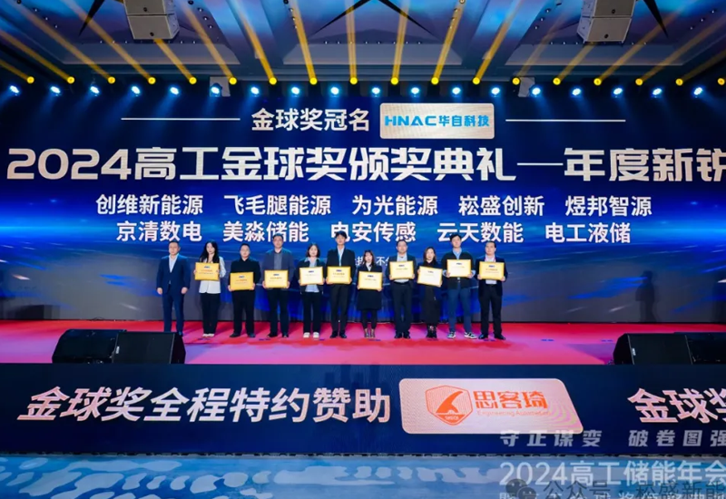 喜讯｜LEHU乐虎立异荣获“2024高工金球奖年度新锐奖”