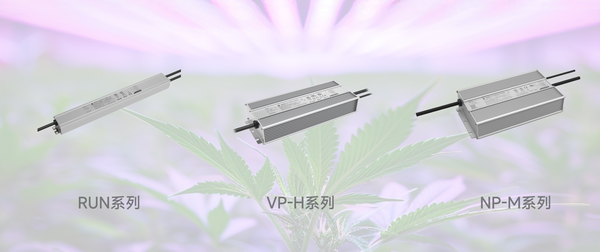 LEHU - 乐虎 - (国际) 游戏官方网站