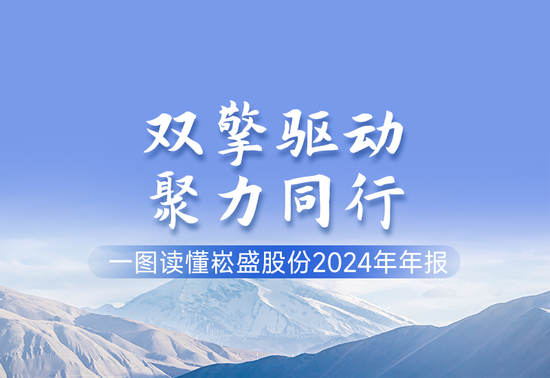 一图读懂 ▏LEHU乐虎股份2024年年报